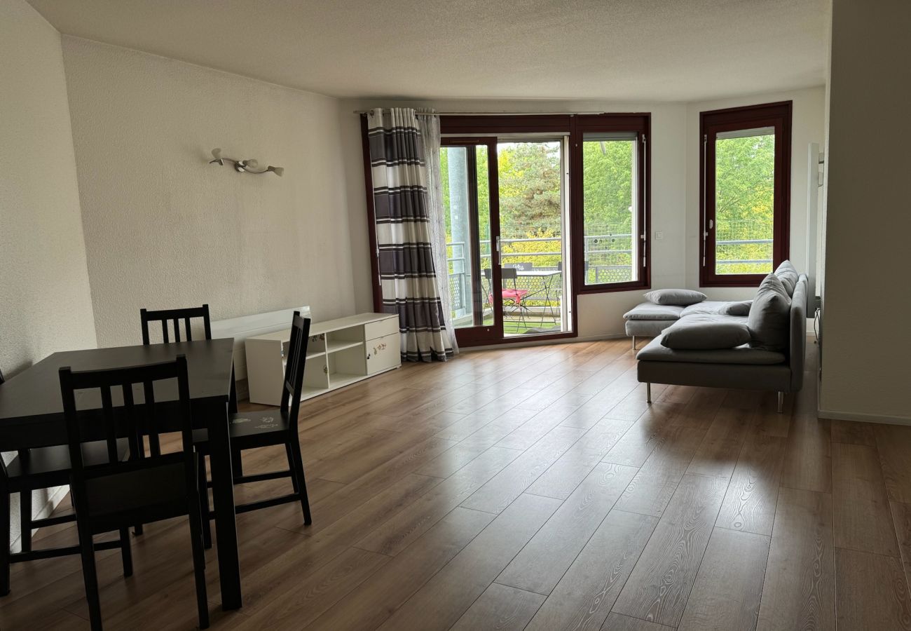 Apartment in Annemasse - M99*Marquer*T3 Arvay