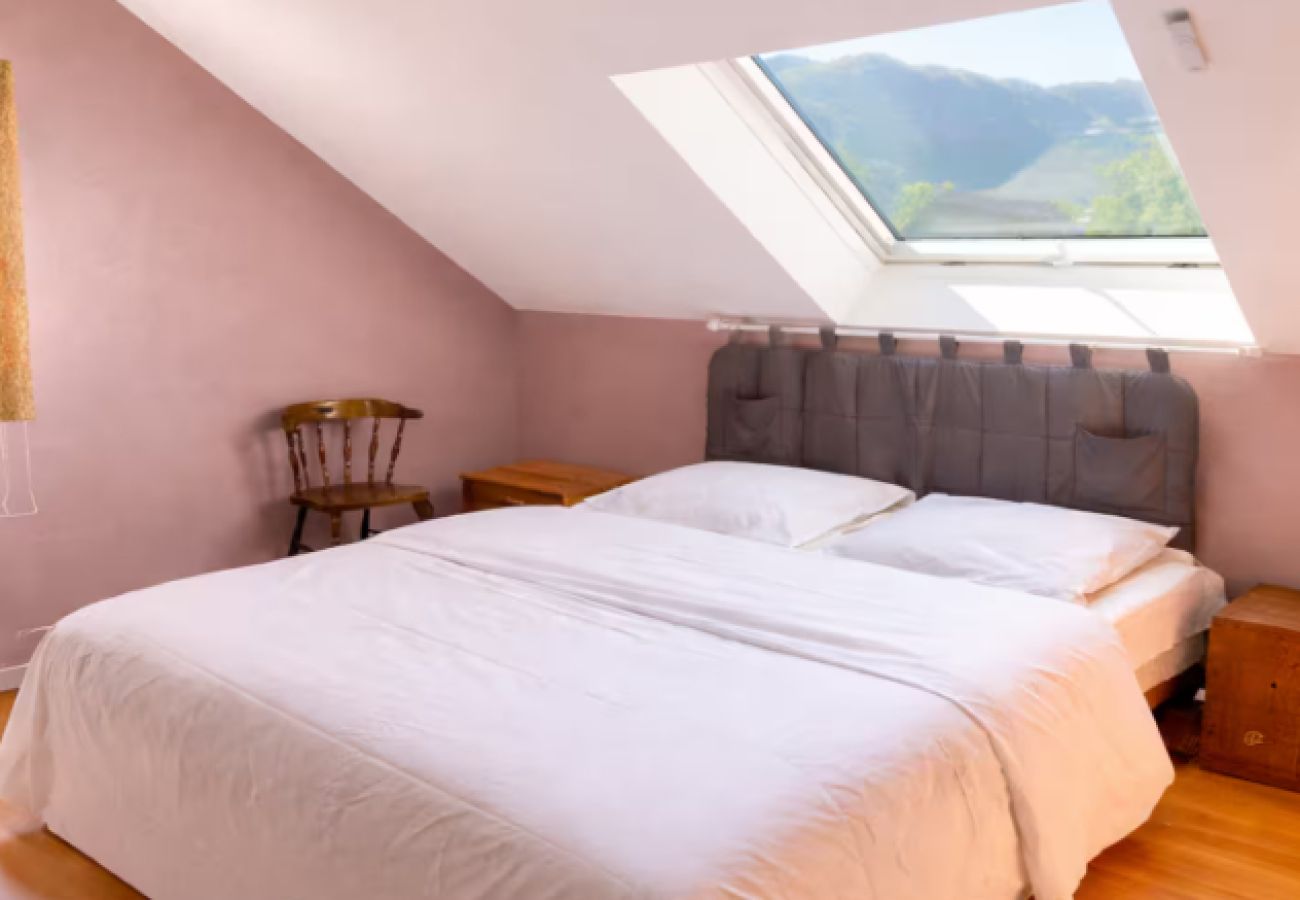 House in Annecy - Maison Annecy