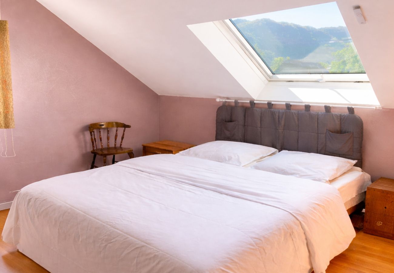 Maison à Annecy - jolie maison avec sauna et piscine