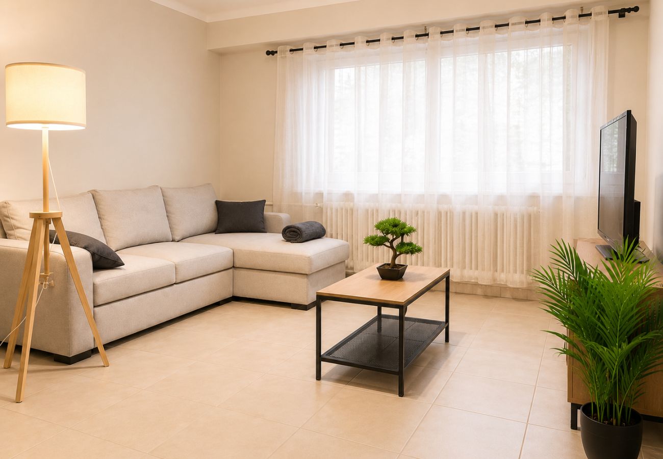 Appartement à Annemasse - M129 T4 Prestigieux et Lumineux
